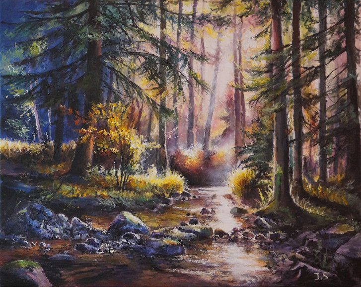 Ruisseau forêt